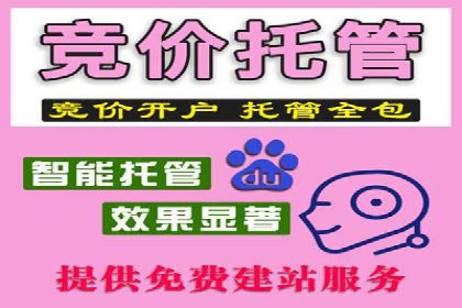 案例分析：SEM竞价代运营策略优化